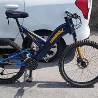 cannondale raven 900 sx