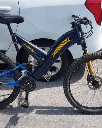 cannondale raven 900 sx