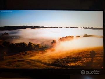 Monitor Gaming MSI MAG