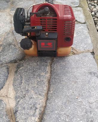 Decespugliatore