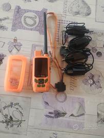 radiocollari tr dog 