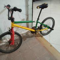 Bmx colorata
