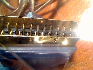 Cavo GAMECUBE " Nintendo "Audio Video di alta qual