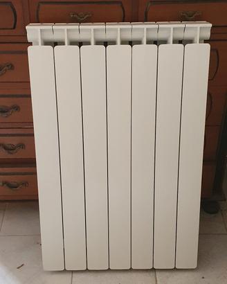 Termosifone  7 elementi