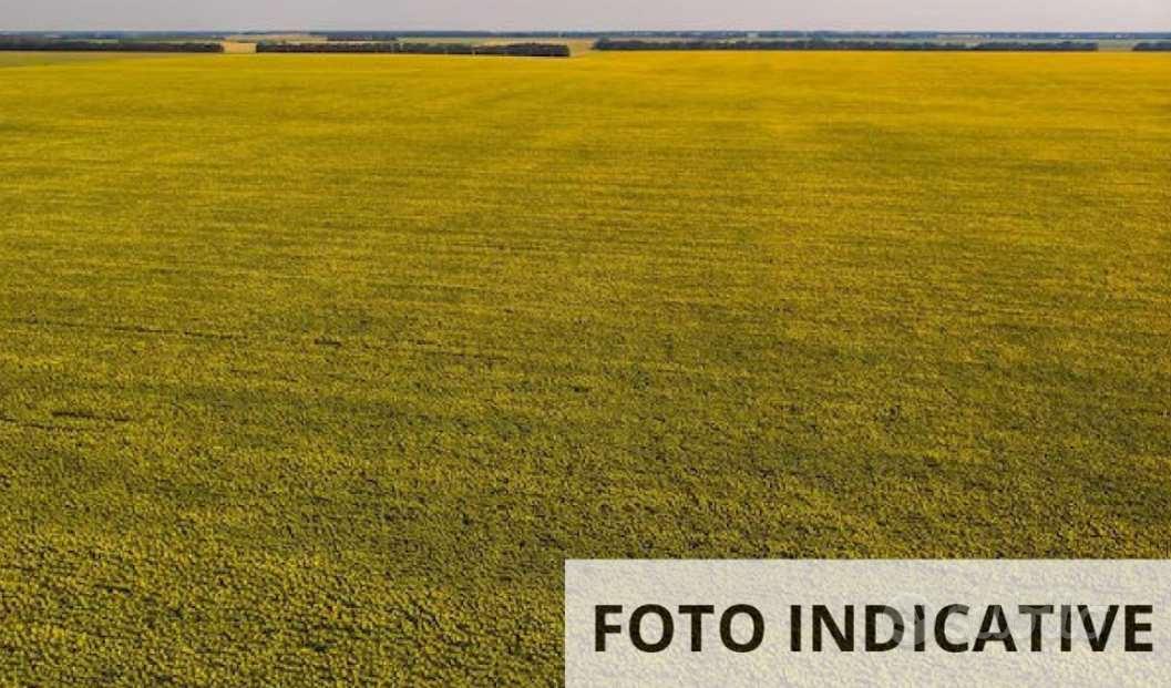 Terreno agricolo ad Orgiano (VI) - Altro