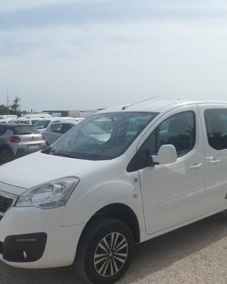 Peugeot Partner 4x4 5 posti autovettura