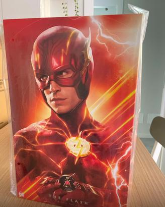 Hot Toys 1/6 The Flash