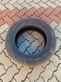 Gomme estive 