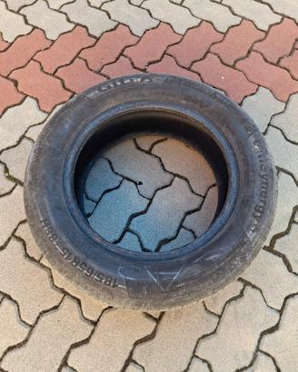 Gomme estive 