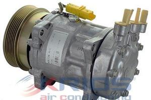 Compressore aria condizionata Citroen C5 I 3.0 V6
