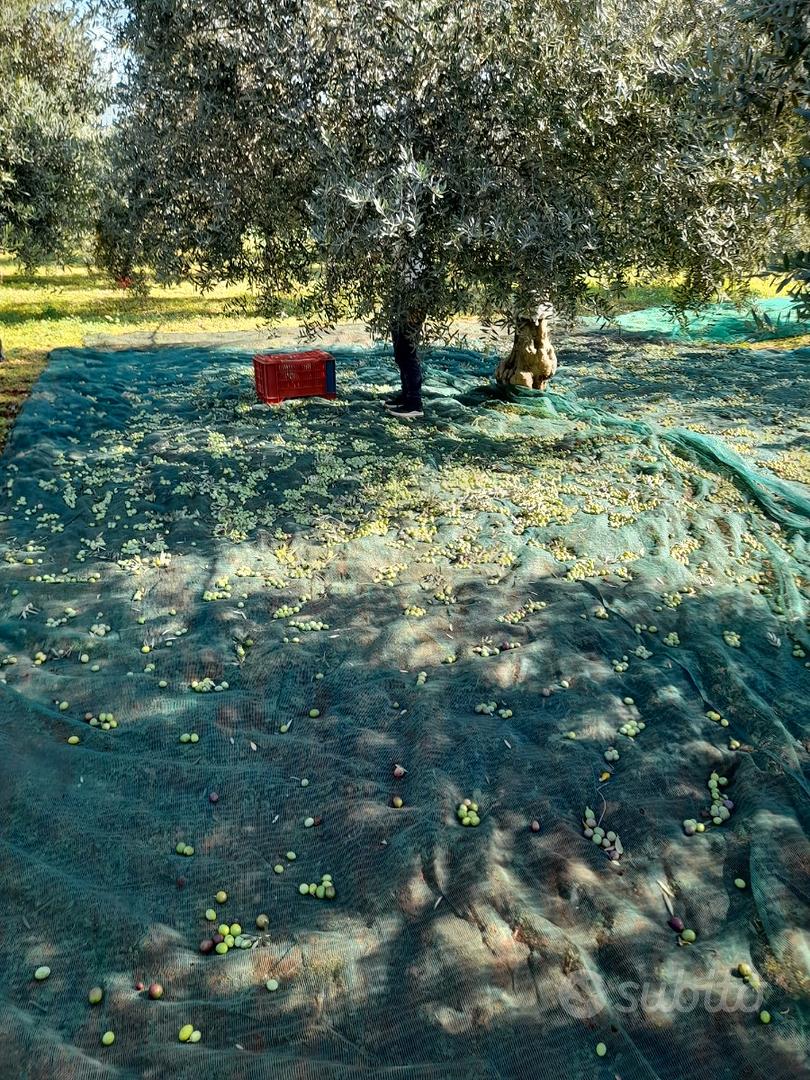 Terreno agricolo - Vista 5