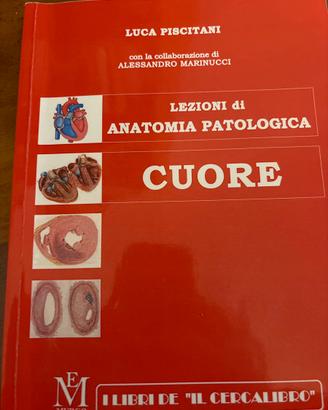 Libri