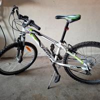 mountain bike bambino