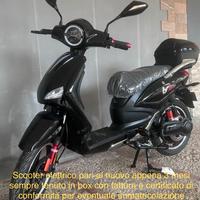 Scooter elettrico 1000 WT