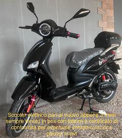 Scooter elettrico 1000 WT