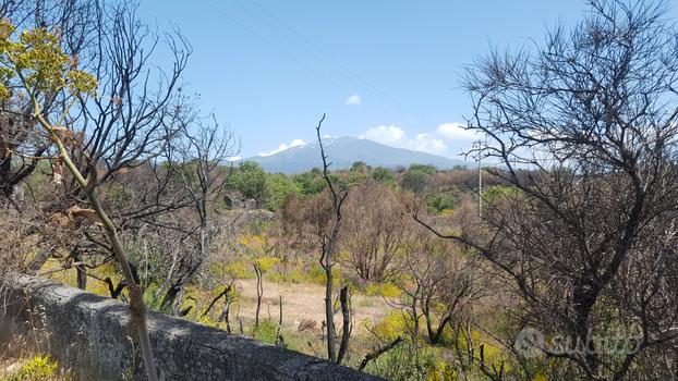 TA33 - Terreno con casetta rurale