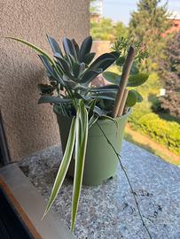Composizione floreale