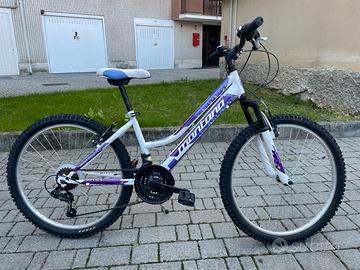 Bici Montana bike