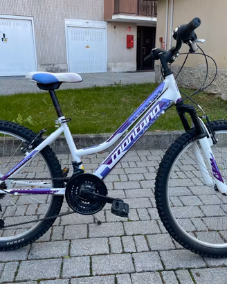 Bici Montana bike