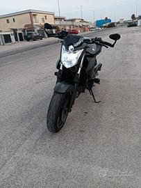 Yamaha XJ6 DEPO A LIBRETTO A2