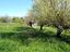 Immagine 19