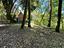 Immagine 28