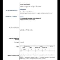 Lavapiatti Operaio