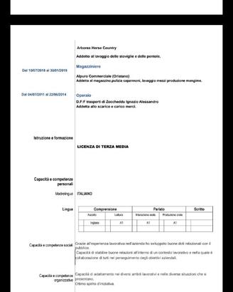 Lavapiatti Operaio