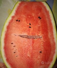 Cuoco Aiuto Cuoco Provincia di Parma