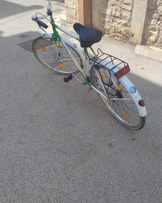 bicicletta da uomo.