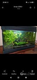 Acquario 25 lt