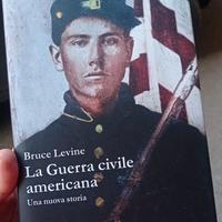 La Guerra civile americana. Una nuova storia"