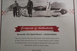 Triumph T214
