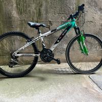 Mountain bike usata a 20 euro