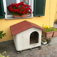 Cuccia in cemento