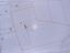 Immagine 10