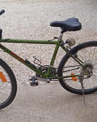 MOUNTAIN bike
