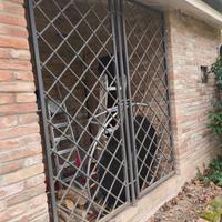 Cancellata da giardino 