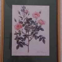 Quardi con stampe botaniche