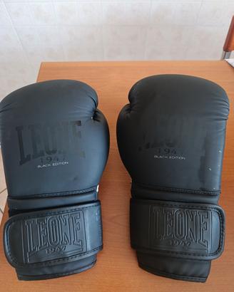 Guantoni boxe Leone