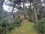 Immagine 26