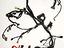 Immagine 10