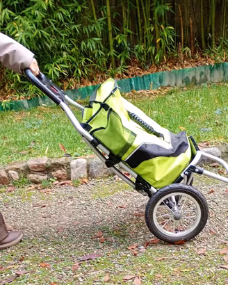 rimorchio per bicicletta