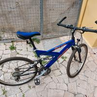 MTB explorer