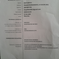 Sadatore