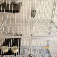 grande gabbia/voliera