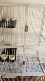 grande gabbia/voliera