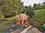 Immagine 25