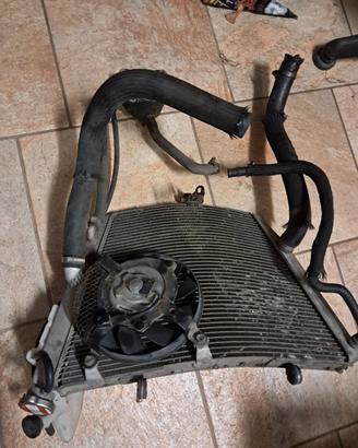 Radiatore suzuki gsx-r 600/750 k6