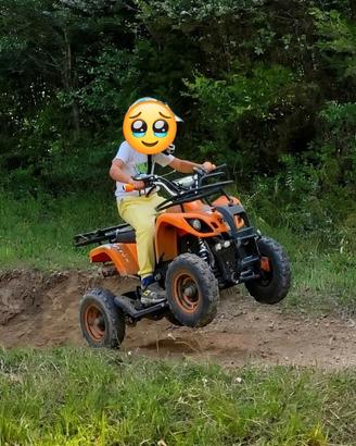 mini quad